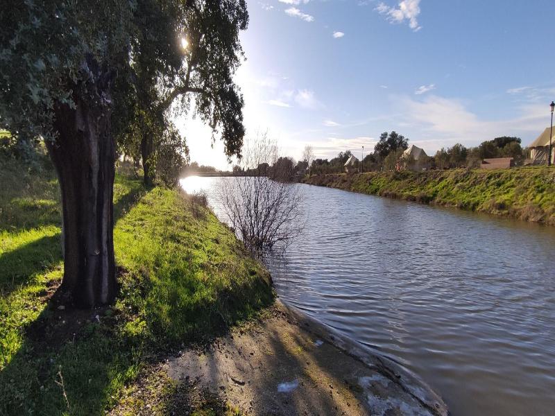 El Toril Glamping Experience image