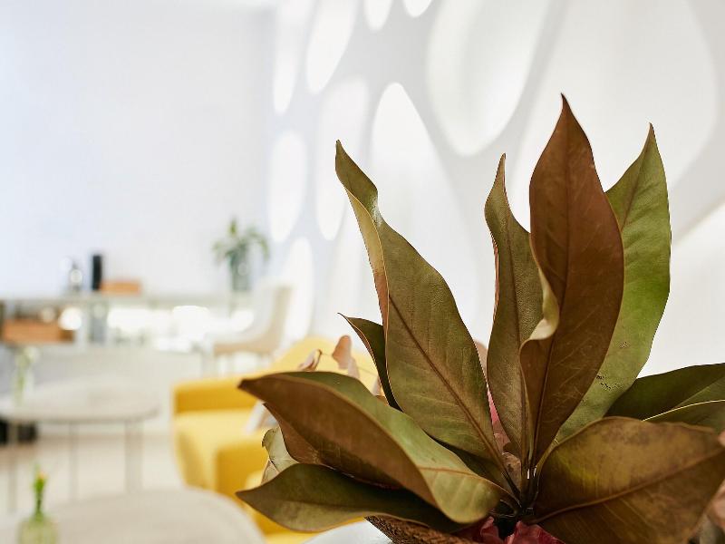 Hotel Boutique Suite Generis image
