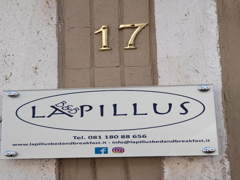 B B Lapillus image