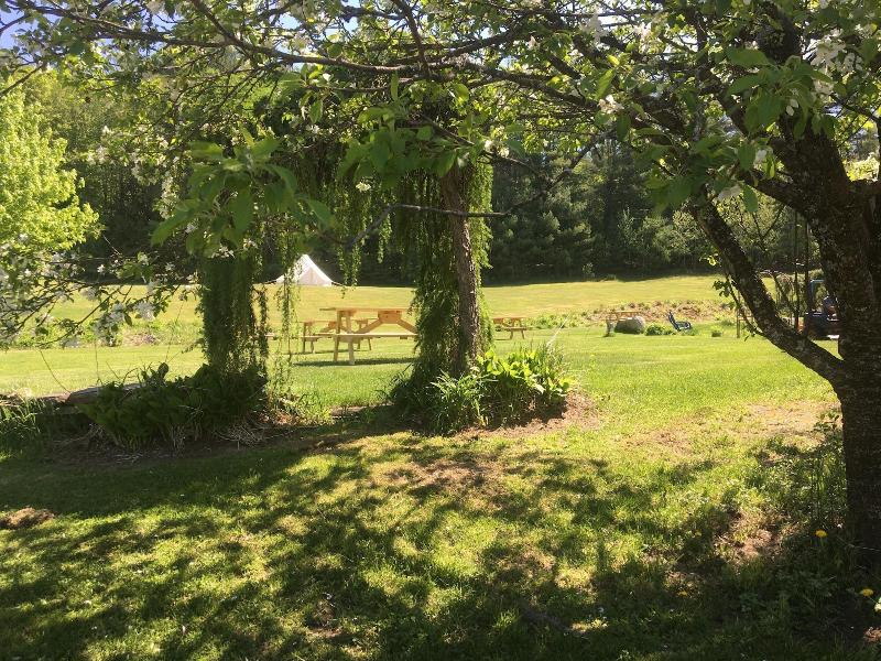 Craftsbury Farmhouse image