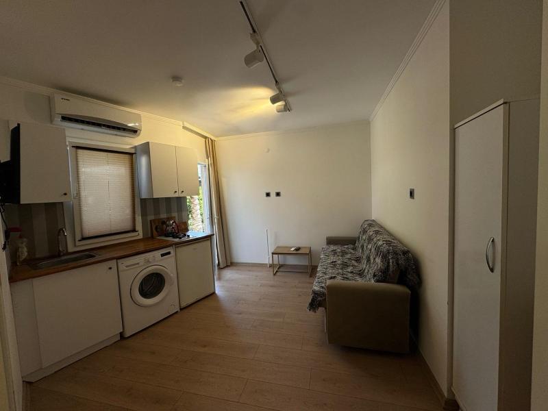 Foca Suite  image