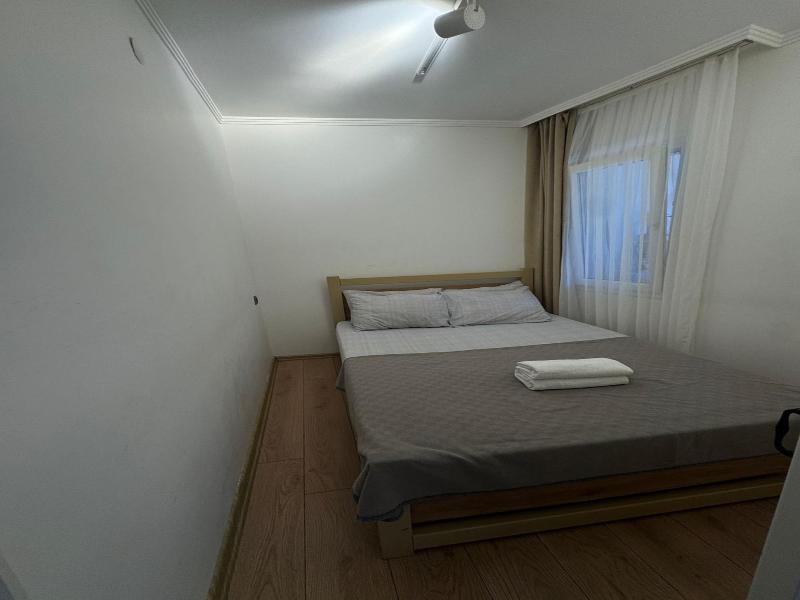 Foca Suite  image