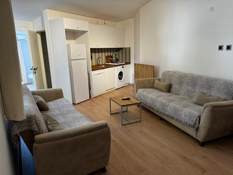 Foca Suite  image