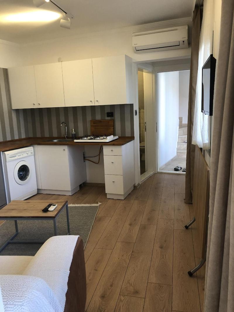 Foca Suite  image