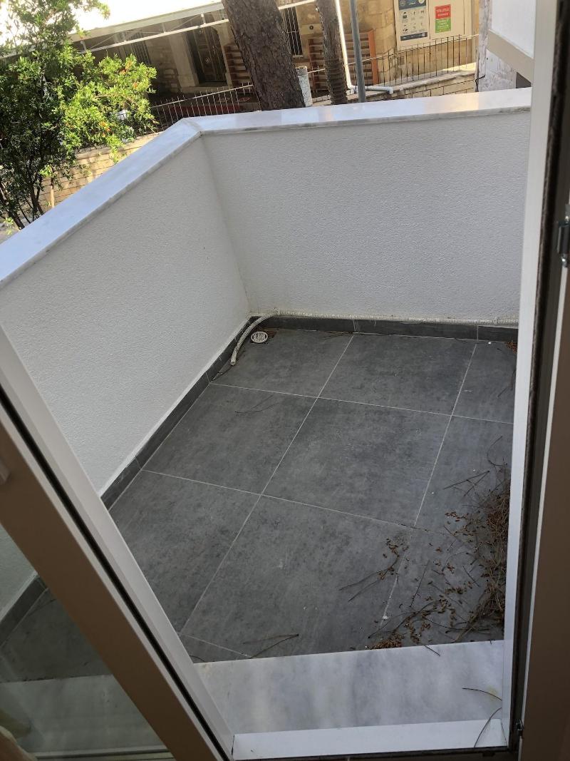 Foca Suite  image