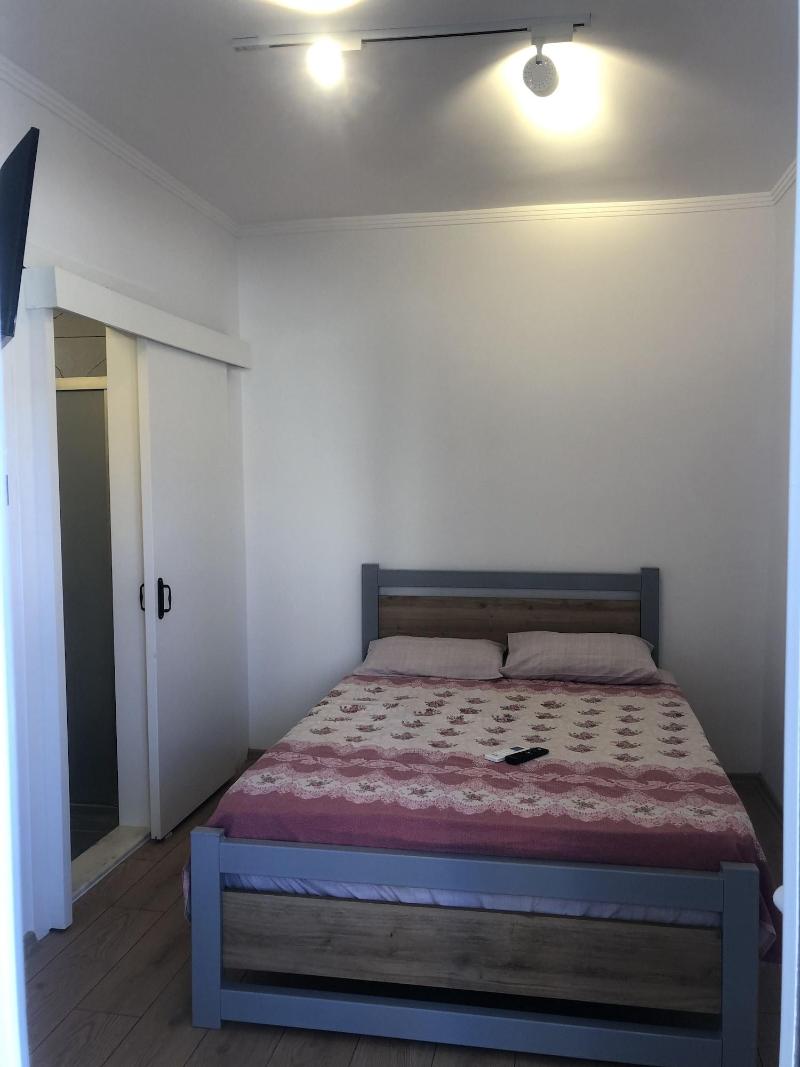 Foca Suite  image
