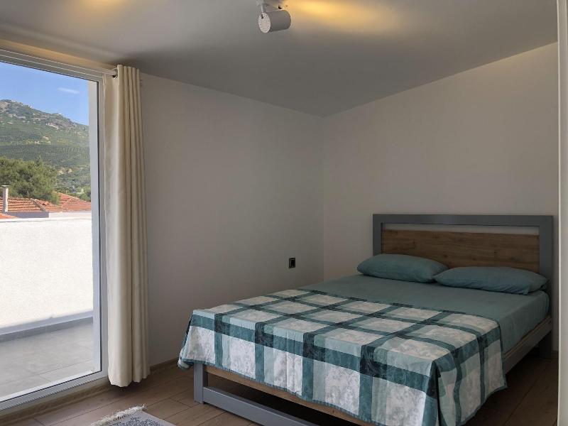 Foca Suite  image