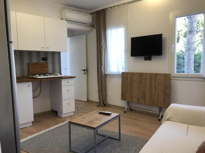 Foca Suite  image