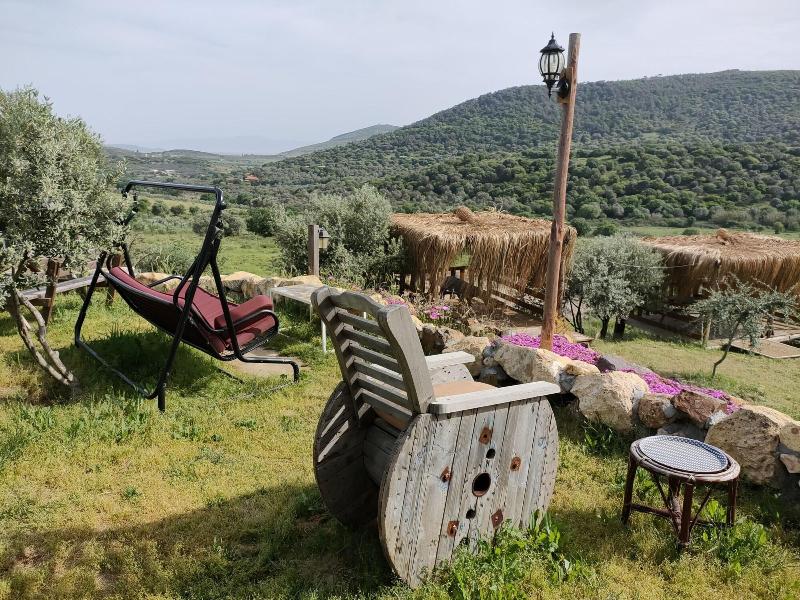 Delice Doaya Evi, Foca