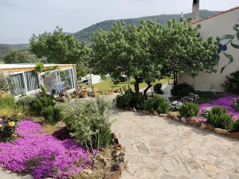 Delice Doaya Evi