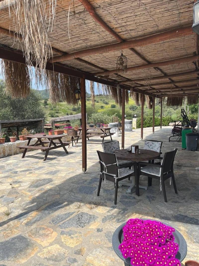 Delice Doaya Evi