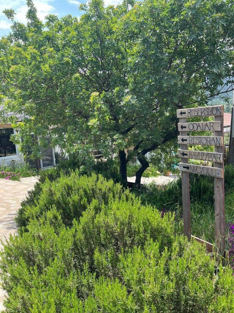 Delice Doaya Evi
