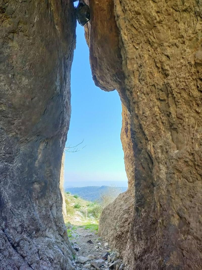 Delice Doaya Evi