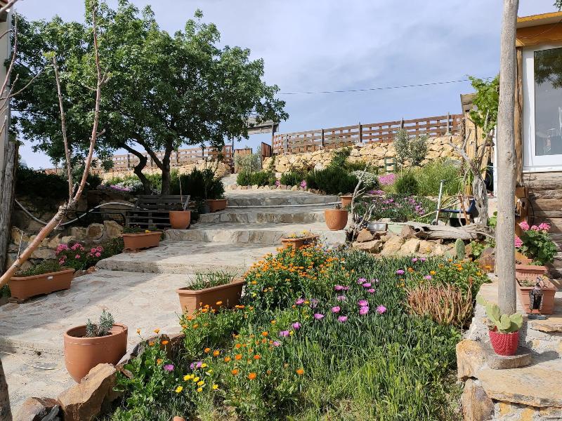 Delice Doaya Evi
