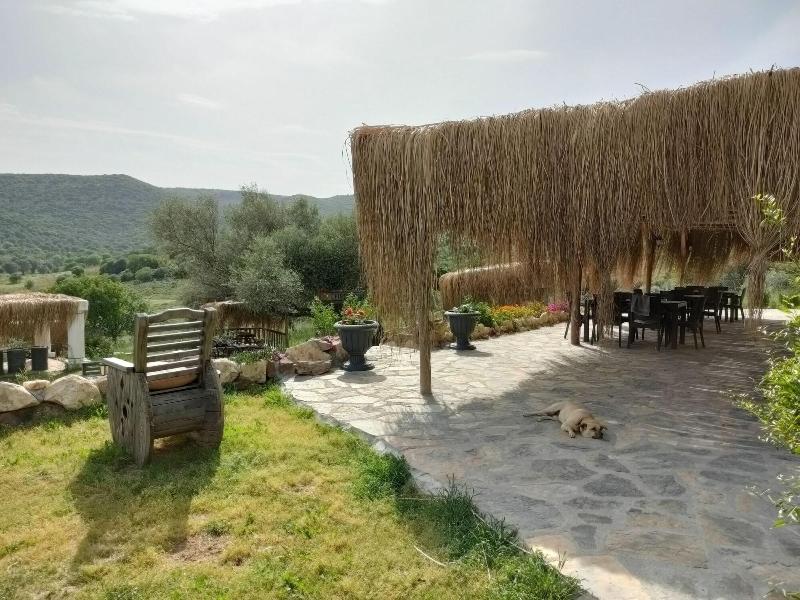 Delice Doaya Evi