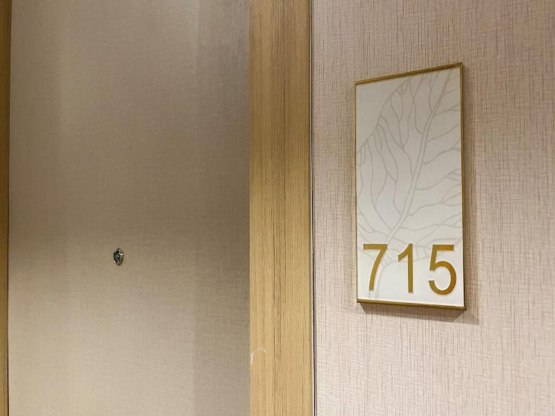 Elegant Airport Hotel image
