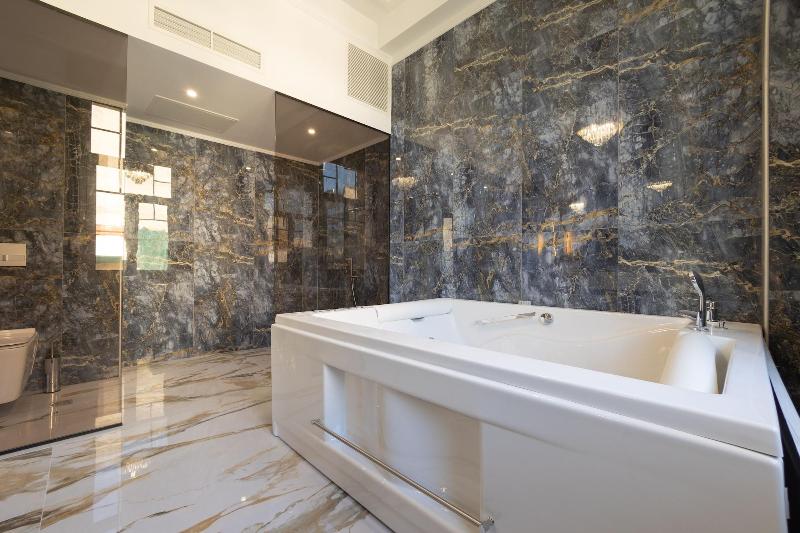 Modern Luxury Hotel image