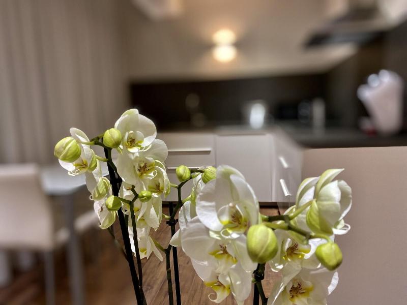 Harpazul Apartments image