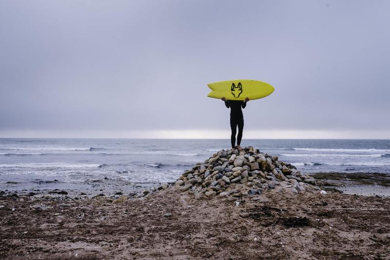 Salty Jackal Backpackers Surf Camp image