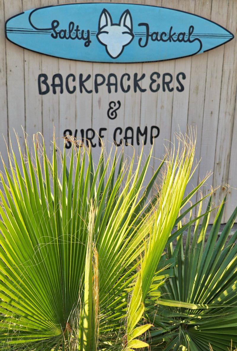 Salty Jackal Backpackers Surf Camp image