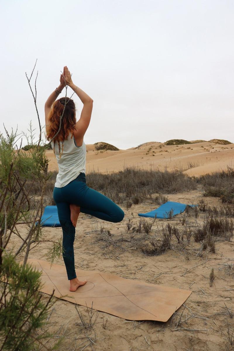 Salty Jackal Backpackers Surf Camp image
