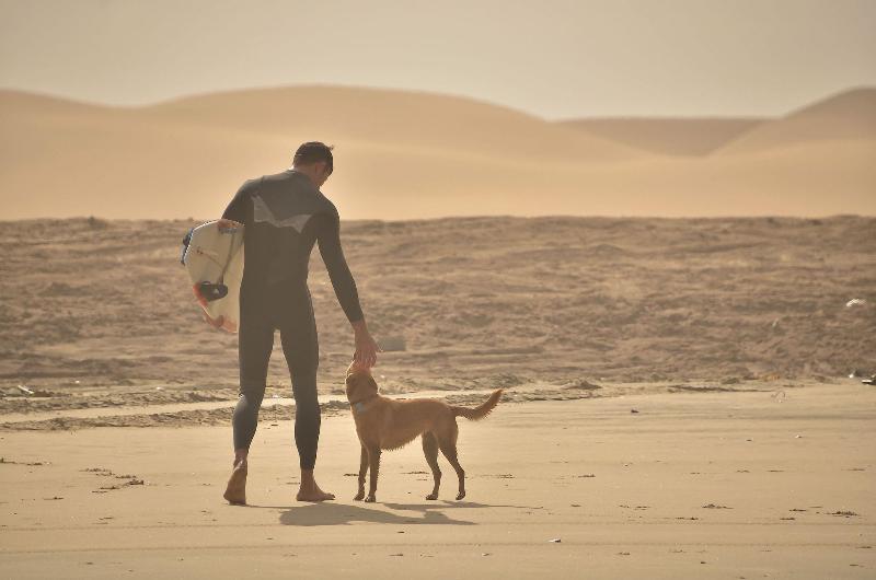 Salty Jackal Backpackers Surf Camp image