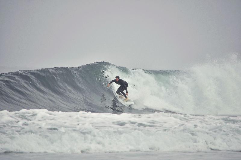 Salty Jackal Backpackers Surf Camp image