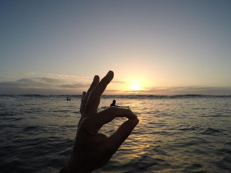 Salty Jackal Backpackers Surf Camp image