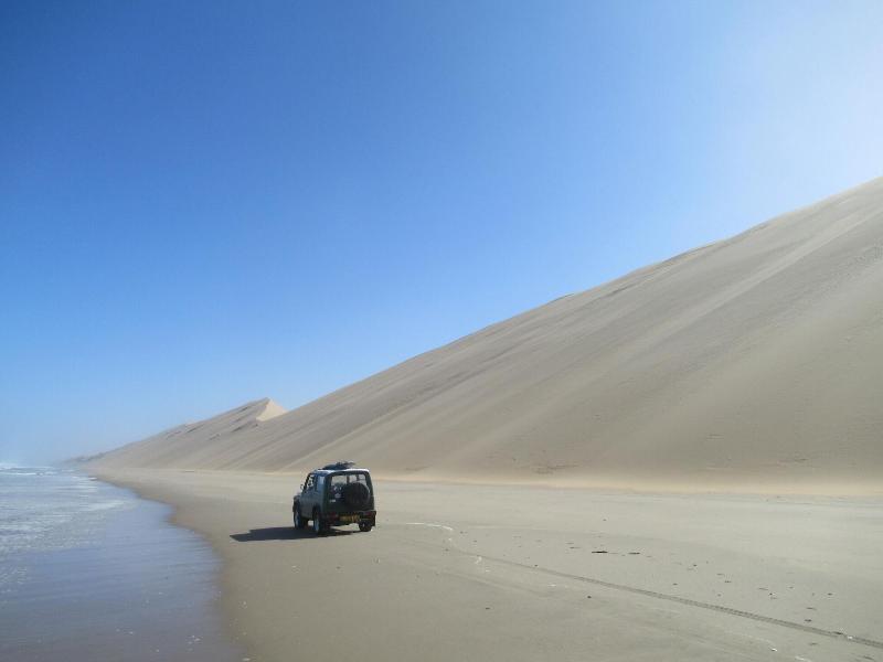 Salty Jackal Backpackers Surf Camp image