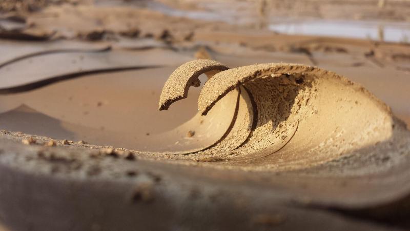 Salty Jackal Backpackers Surf Camp image