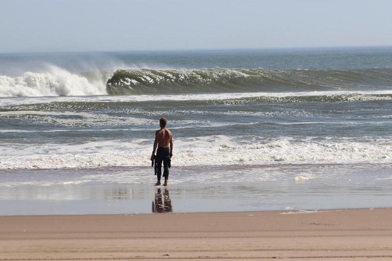 Salty Jackal Backpackers Surf Camp image