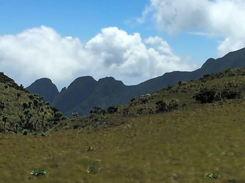 Bubbles Lodge Kinangop — photo 11