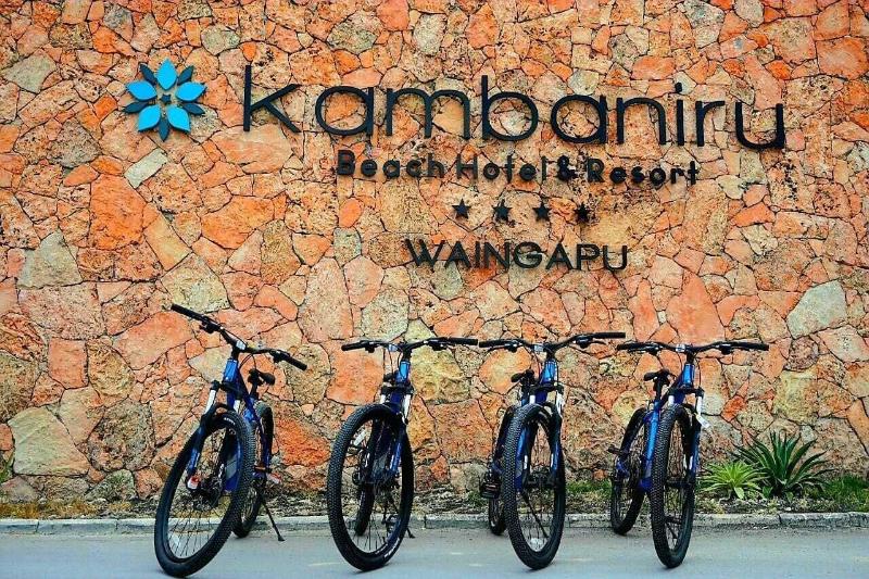 Kambaniru Beach Hotel Resort image