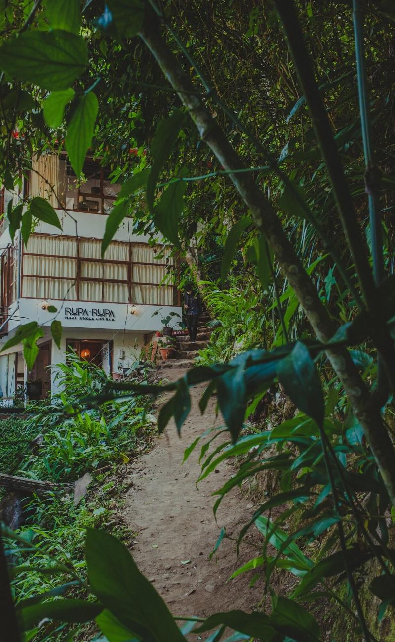 Rupa Rupa High Jungle Eco B B image
