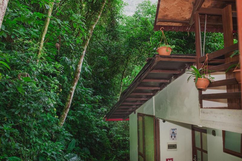 Rupa Rupa High Jungle Eco B B image