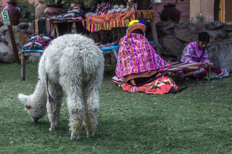 Andean Wings Valley image