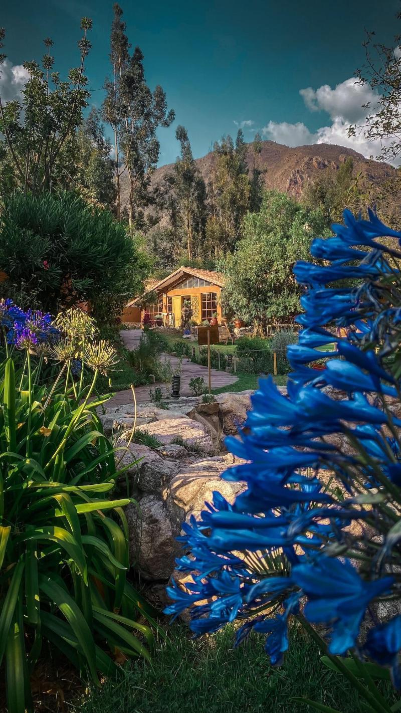Andean Wings Valley image