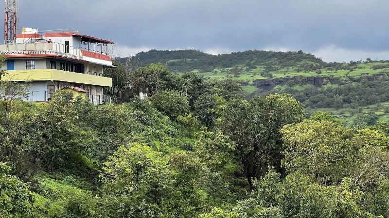 Nature Nest Resort image