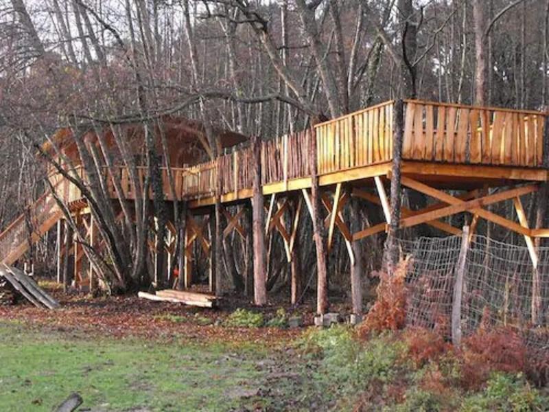 Cabane Des Cerfs image