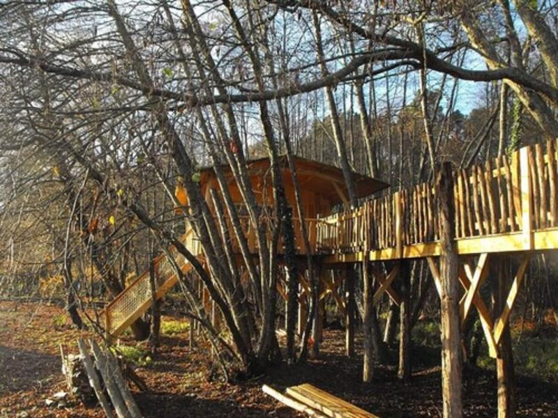 Cabane Des Cerfs image