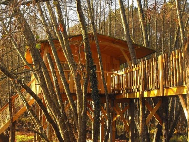 Cabane Des Cerfs image