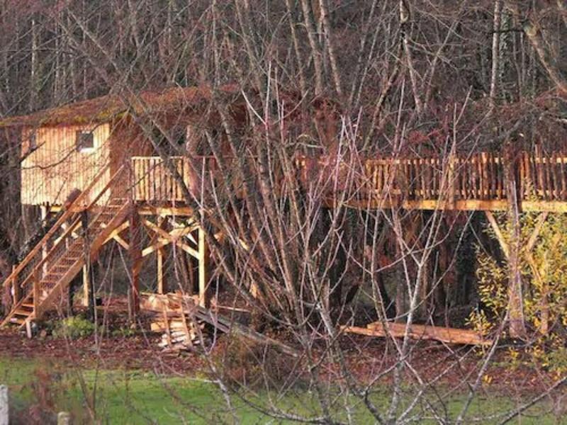 Cabane Des Cerfs image