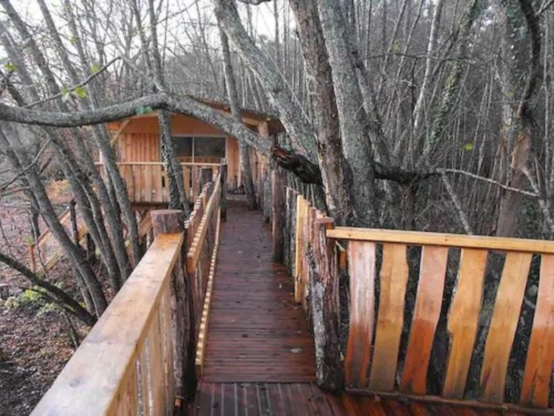 Cabane Des Cerfs image