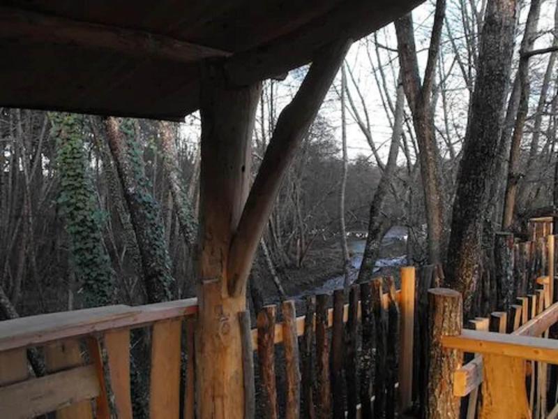 Cabane Des Cerfs image