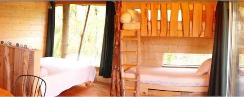 Cabane Des Cerfs image