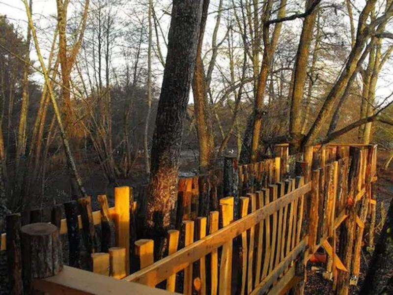 Cabane Des Cerfs image