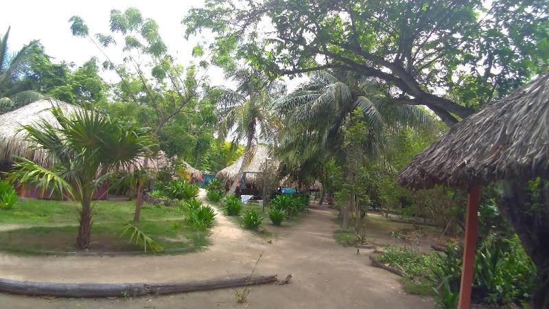 Las Palmeras image