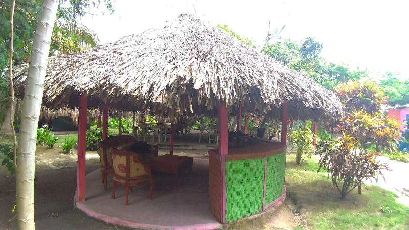 Las Palmeras image