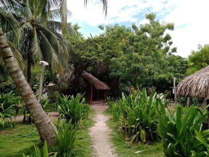 Las Palmeras image