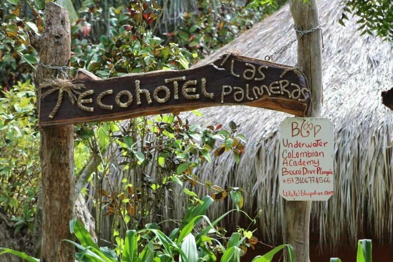 Las Palmeras image